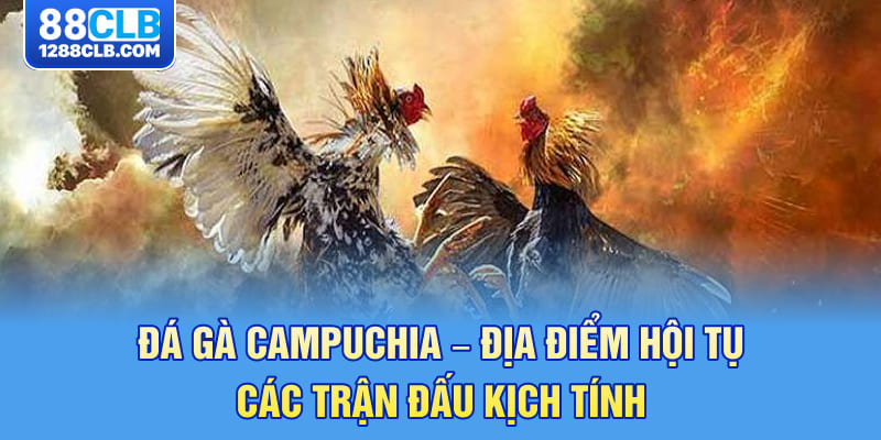 Đá Gà Campuchia – Địa Điểm Hội Tụ Các Trận Đấu Kịch Tính