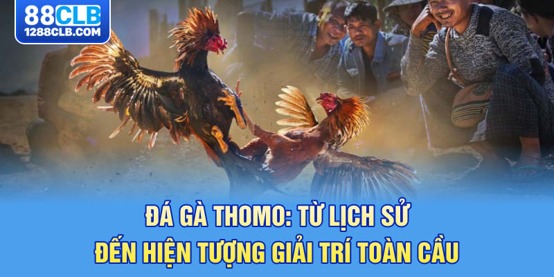 Đá Gà Thomo - Từ Lịch Sử Đến Hiện Tượng Giải Trí Toàn Cầu