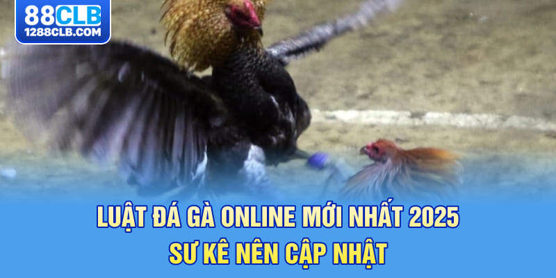 Luật Đá Gà Online Mới Nhất 2025 – Sư Kê Nên Cập Nhật