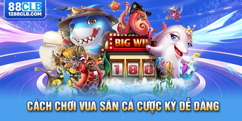 Cách chơi vua săn cá cược kỳ dễ dàng