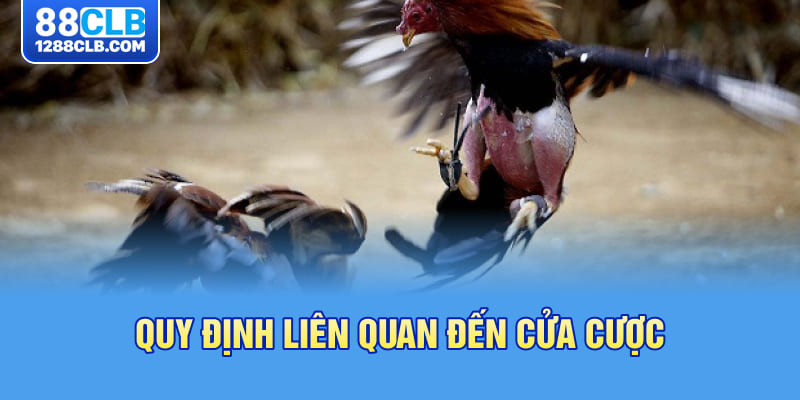 Quy định liên quan đến cửa cược