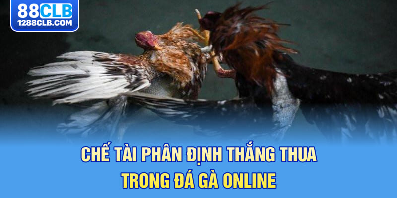 Chế tài phân định thắng thua trong đá gà online