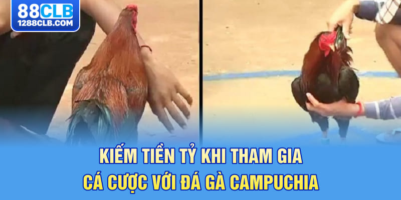 Kiếm tiền tỷ khi tham gia cá cược với đá gà Campuchia 