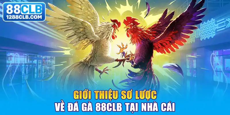 Giới thiệu sơ lược về đá gà 88CLB tại nhà cái