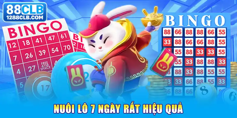 Nuôi lô 7 ngày rất hiệu quả