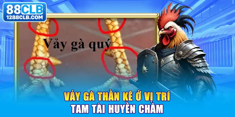 Vảy gà thần kê ở vị trí tam tài Huyền Châm