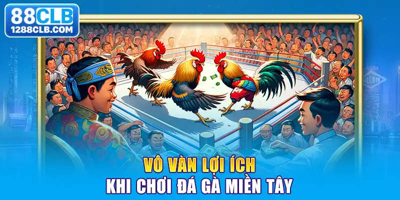 Vô vàn lợi ích khi chơi đá gà miền Tây