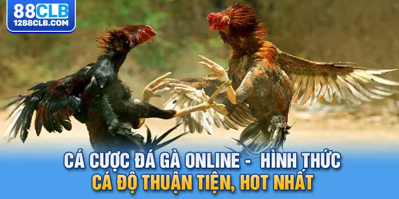 Cá Cược Đá Gà Online -  Hình Thức Cá Độ Thuận Tiện, Hot Nhất