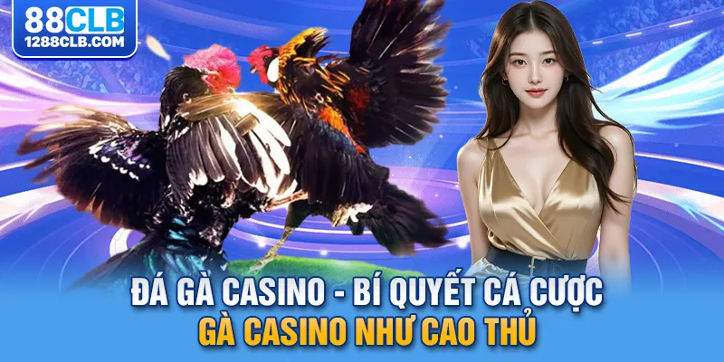 Đá Gà Casino - 3 Bí Quyết Cá Cược Gà Casino Như Cao Thủ