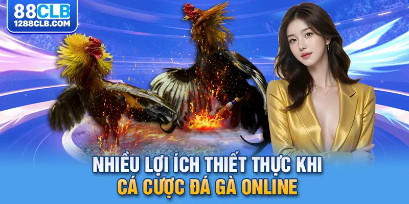 Nhiều lợi ích thiết thực khi cá cược đá gà online 