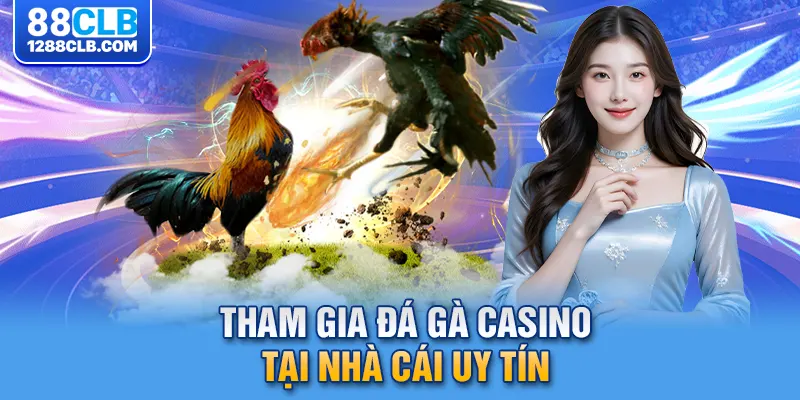 Tham gia đá gà casino tại nhà cái uy tín